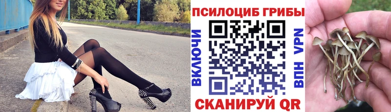 сколько стоит Тетюши Галлюциногенные грибы Cubensis